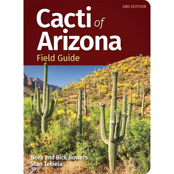 Cacti: The Illustrated Dictionary: Preston-Mafham, Rod, Preston