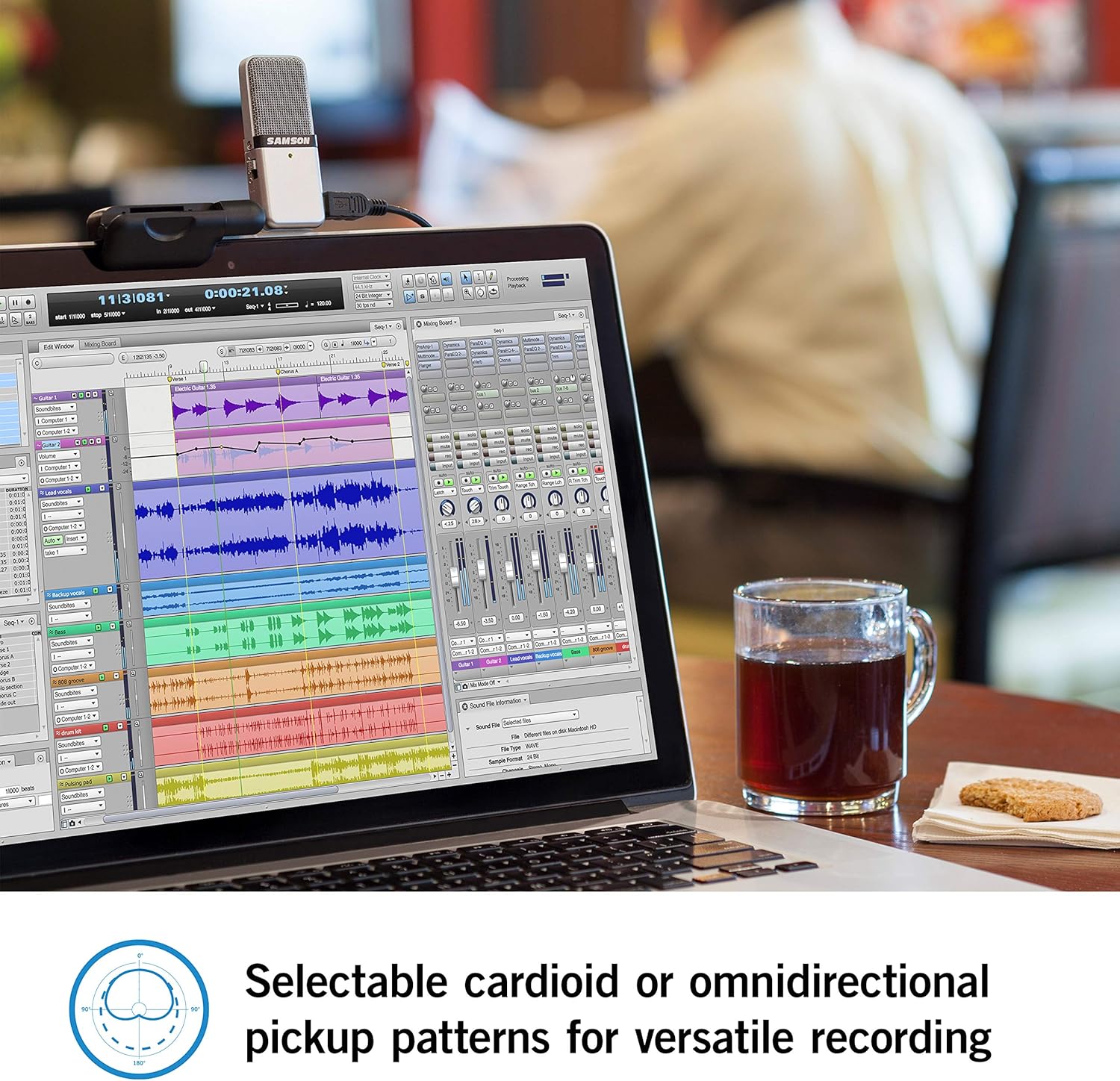 Samson Go Mic Portable USB Condenser Microphone for Recording and Streaming on Computers (SAGOMIC): Samson Audio: Musical Instruments