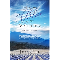 How Blue is my Valley: the real Provence book cover