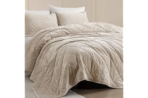 SHALALA NEW YORK SHALALA Beige Velvet Comforter,Queen Bedding Quilt Sets,Lightweight Comforters,Reversible Luxury Diamond Bedspread Coverlet with Soft Brushed Microfiber Back for All Season(Full,Beige)