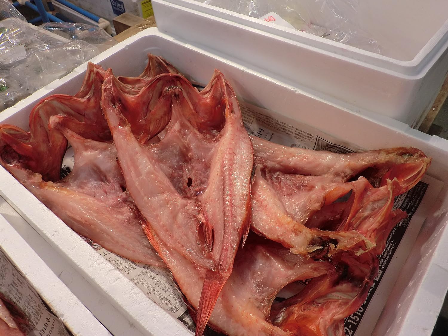 ウオス 札幌の水産直営店 進風水産 特大きんき開き 約400g 4枚 きちじ 干物 カサゴ 大容量 お中元 プレゼント ウオス 進風水産 鮮魚 通販 Amazon