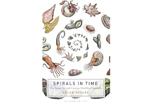 Spirals in Time: The Secret Life and Curious Afterlife of Seashells