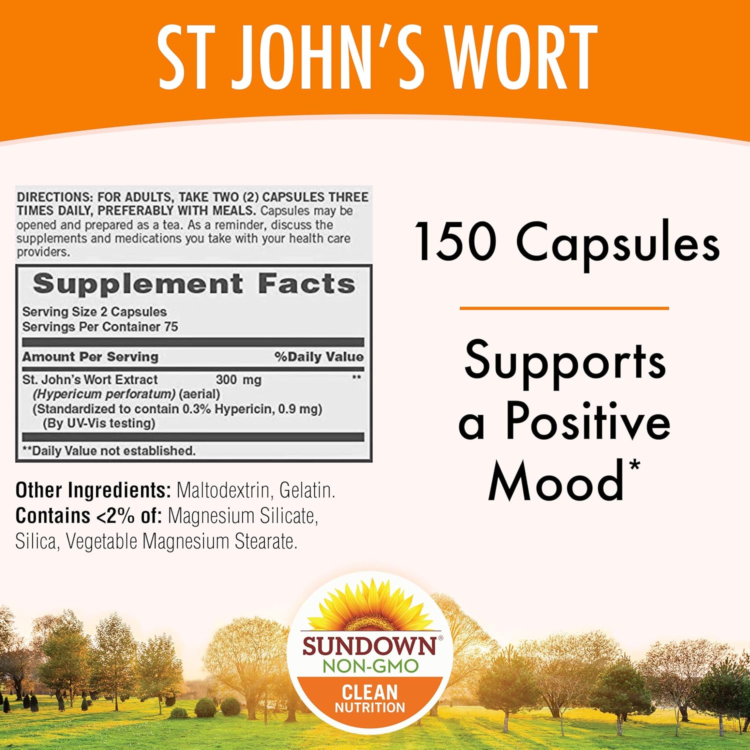 Sundown Standardized St. John's Wort Capsules 150 ea, Non-GMOˆ, Free of Gluten, Dairy, Artificial Flavors: Health & Personal Care