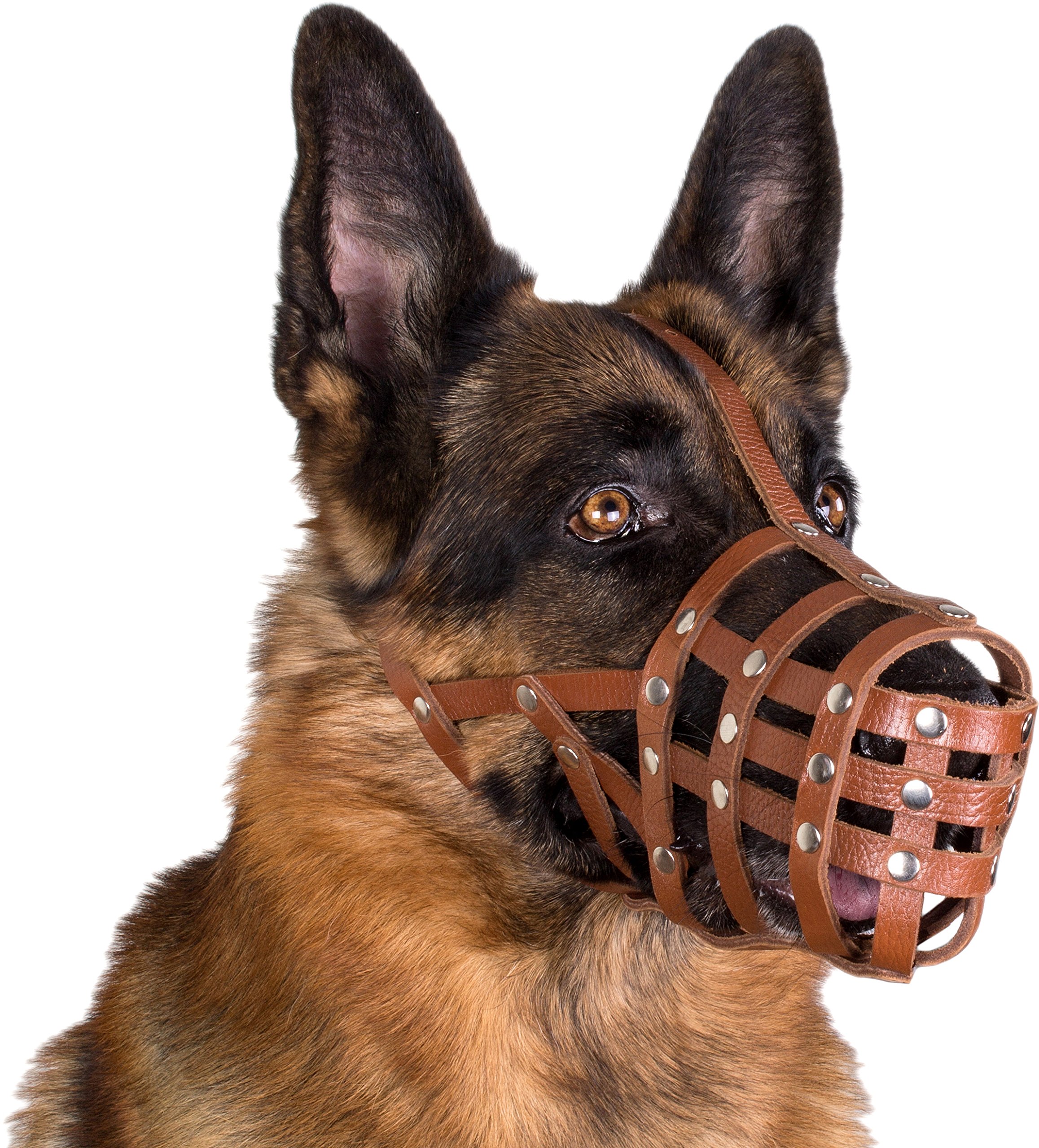 CollarDirect Dog Muzzle German Shepherd Leather Secure Basket Buy
