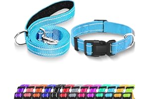 Maiiu Reflective Dog Collar with Safety Locking Buckle, Adjustable Soft Breathable Nylon Collars for Small, Medium and Large Dogs(Collar+Leash S Width 3/4" Sky Blue)