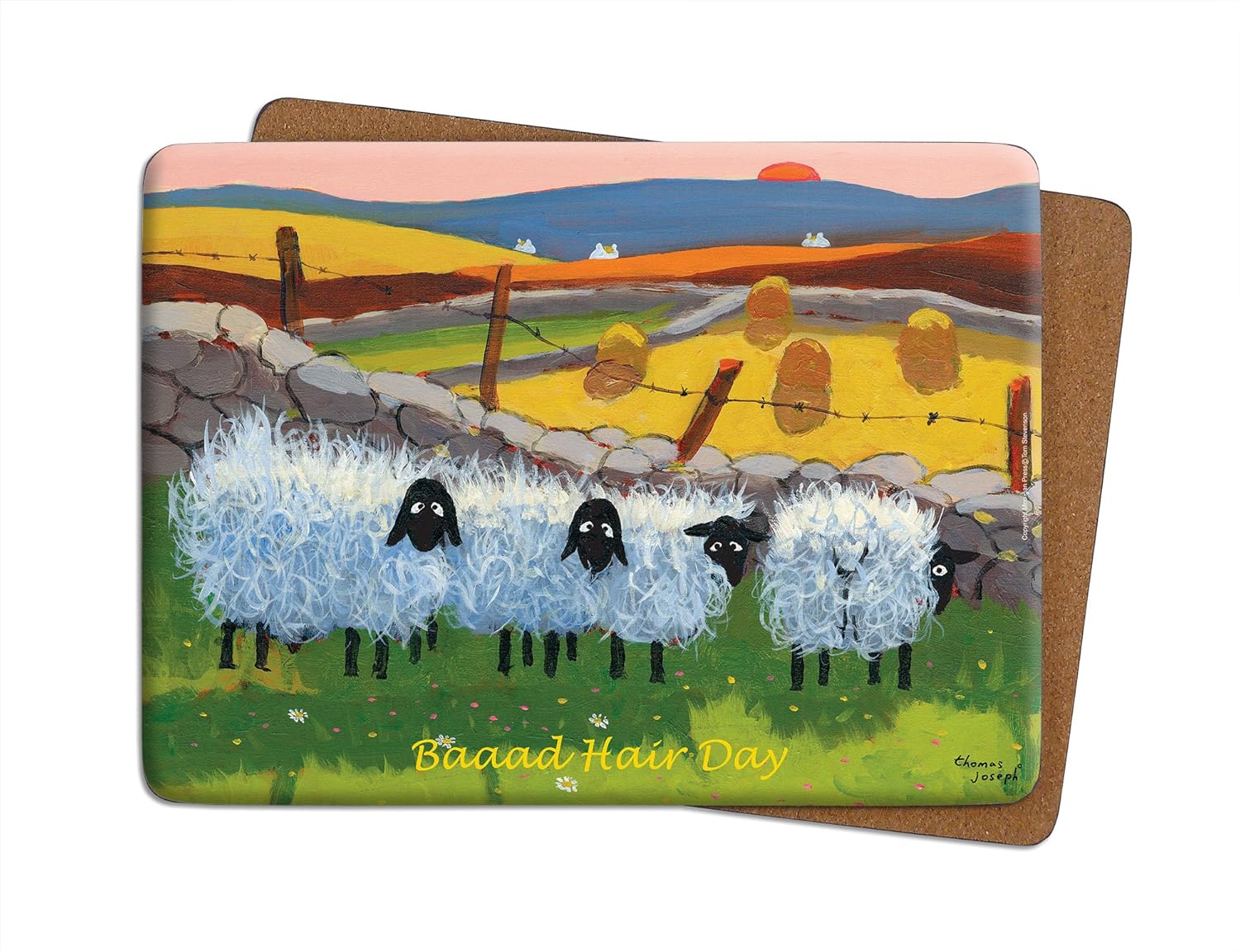 Thomas Joseph - Set of 6 Placemats (Edition 2), Multicolor, 29cm x 21.5cm - Image 4