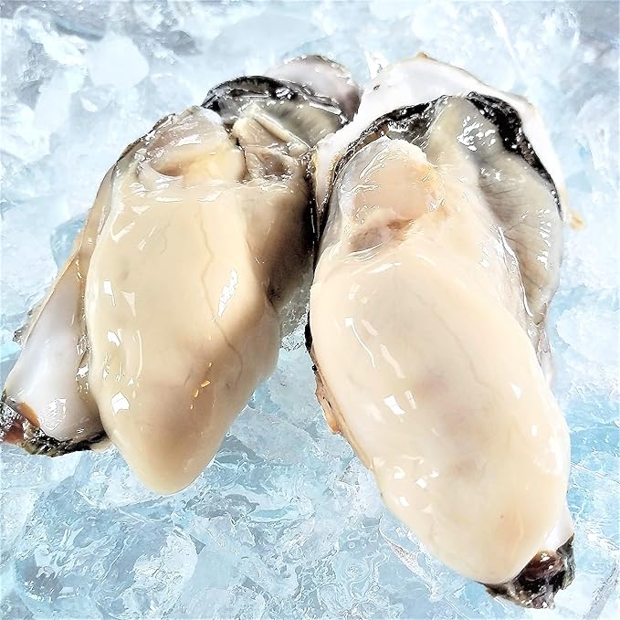Amazon ぷりっぷりの6月カキ 生食用 かき大将lサイズ個 宮城産直 ブランド 殻付き生牡蠣 口からあふれる3年もの大粒サイズ バーベキュー 海鮮 q 貝船 山岸丸 貝類 通販