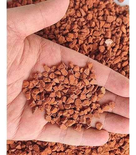 Amazon.com : Japanese Hyuga Pumice for Orchid & Bonsai Tree Soil