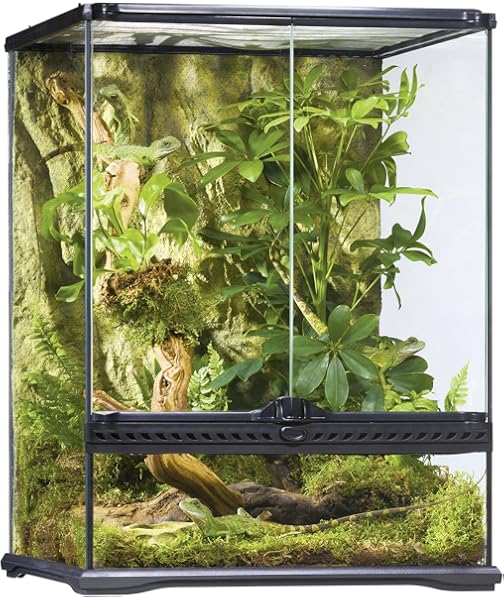 exo terra crested gecko kit large