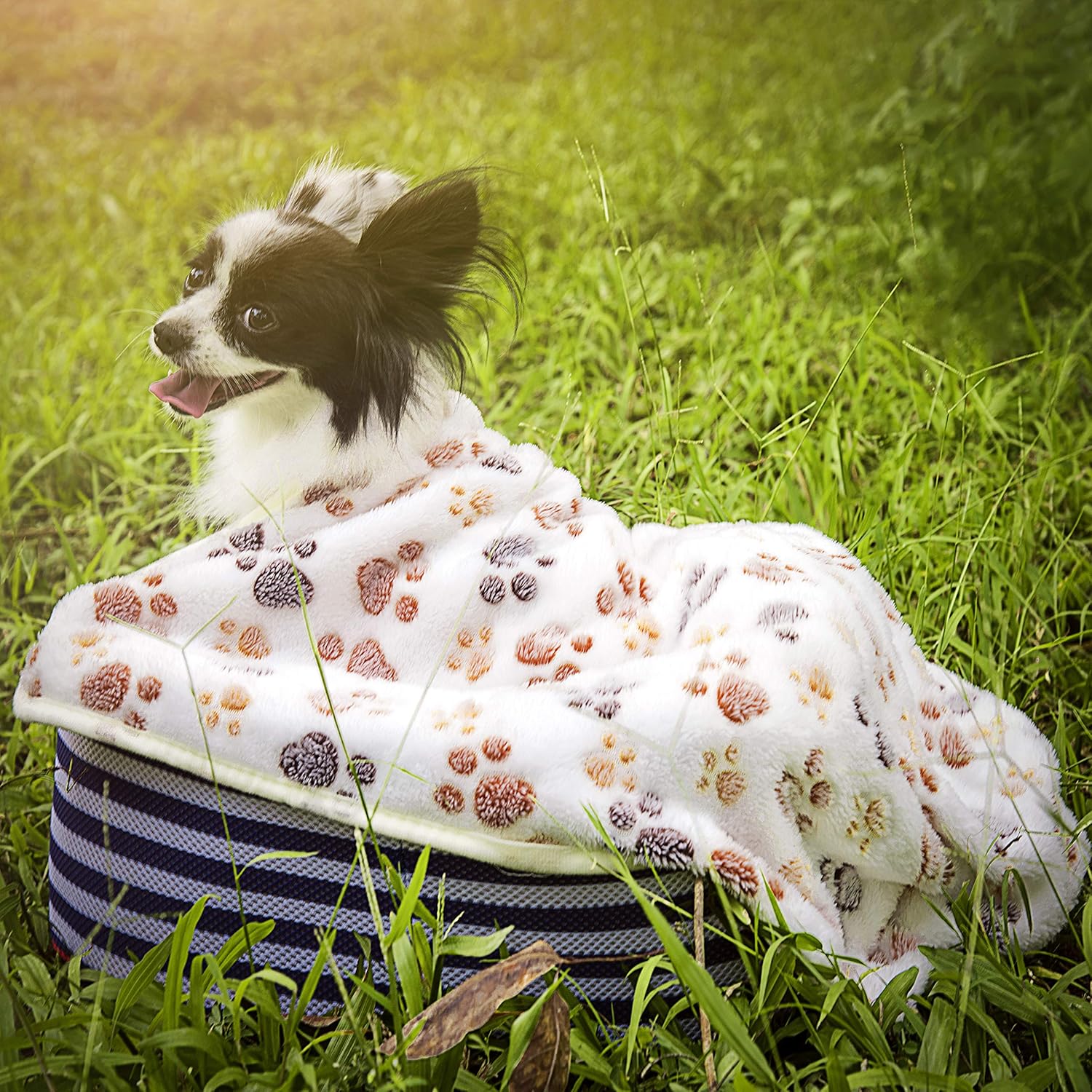 iNNEXT 3 Pack Puppy Blanket for Pet Cushion Small Dog Cat Bed Soft Warm Sleep Mat, Pet Dog Cat Puppy Kitten Soft Blanket Doggy Warm Bed Mat Paw Print : Pet Supplies