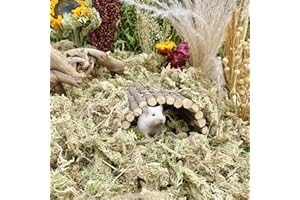Bonnevie Sphagnum Moss for Hamster Gerbil Bedding Natural Dried Green Forest Sphagnum Moss Hamster Substrate Nesting for Dwarf Syrian Hamsters, Mice, Degus, Terrarium Reptiles Sphagnum Moss