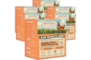 Joyprotyn 30LB Non-GMO Dried Black Soldier Fly Larvae for Chicken – 85X More Calcium Grubs Than Mealworms for Strong Eggshells & Healthy Growth - High Protein for Chickens, Birds, Ducks, Geese & Pets