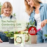 Garden Pack Grow Your Own Vegetable Seeds 20 Packets High Yield Heirloom Seeds view 5