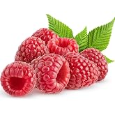 Red Raspberry Seeds for Planting 100+ Pcs Seeds Heirloom Non-GMO Fruit