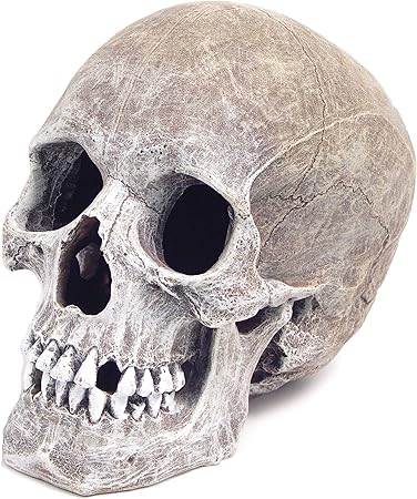 skull aquarium decorations