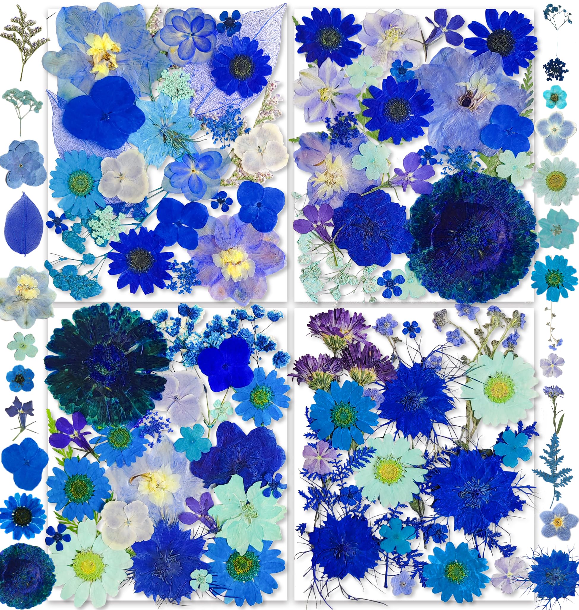 YouthBro 30 Types 147PCS Blue Dried Pressed Flowers with Butterfly Stickers Real Nature Flowers Herb Set for Resin DIY Jewelry Candle Soap Vase Making Nail Card Scrapbook Art Craft Floral Decors