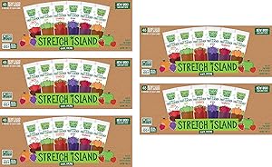 Stretch Island Fruit Leather Snacks Variety Pack, 0.5 Ounce, Pack of 48, -5 Pack