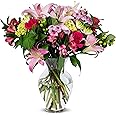 Benchmark Bouquets - Blissful Blossoms, Glass Vase Included, Gift Fresh Flowers for Valentine’s Day, Birthday, Anniversary, Get Well, Sympathy, Congratulations, Thank You, Just Because