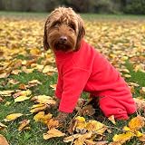 Pet Wiz Warm Four-Legged Dog Fleece Coral X-Large Weather-Resistant