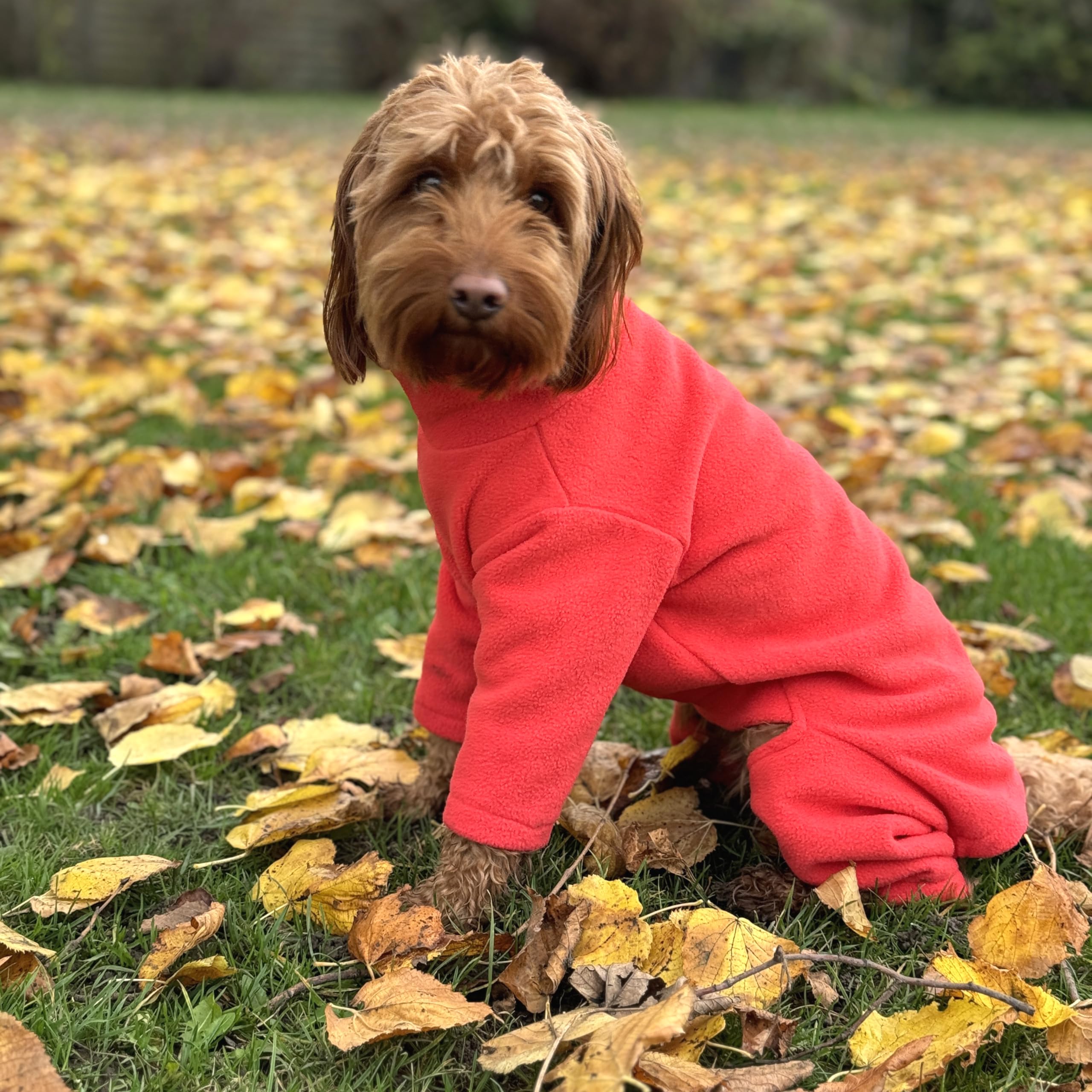 Warm Four-Legged Dog Fleece – Super Soft, Weather-Resistant (Coral, Medium)