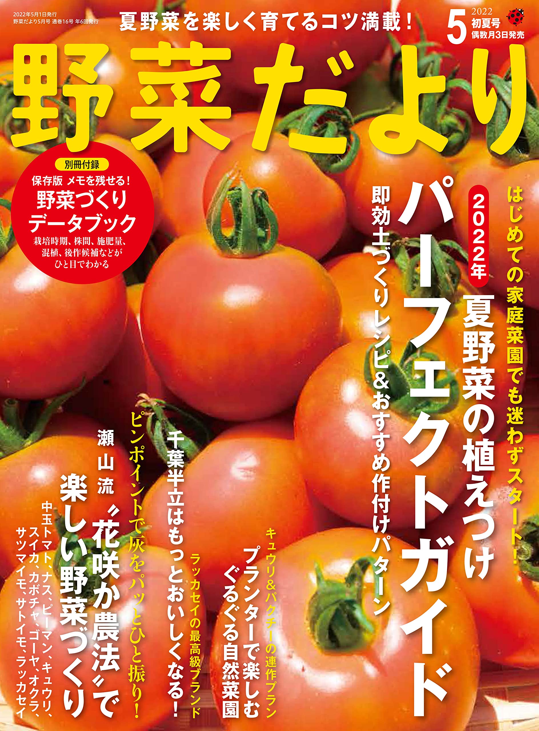 メーカー再生品 やさい畑 雑誌 22年 8月号 趣味 スポーツ 実用