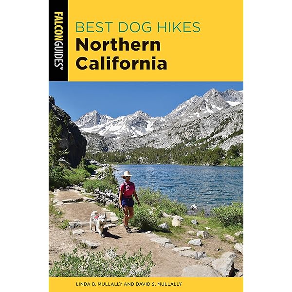 dog friendly hikes north bay