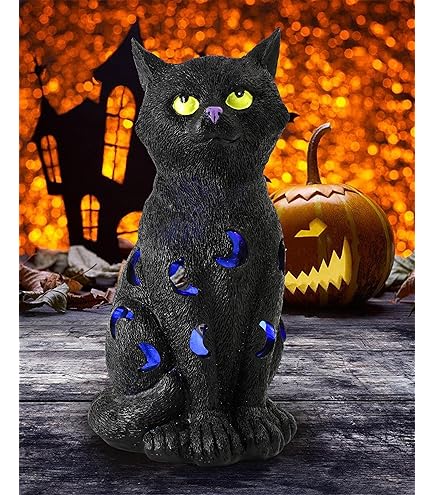 Amazon.com: Pacific Giftware Halloween Witches's Black Kitten Cat