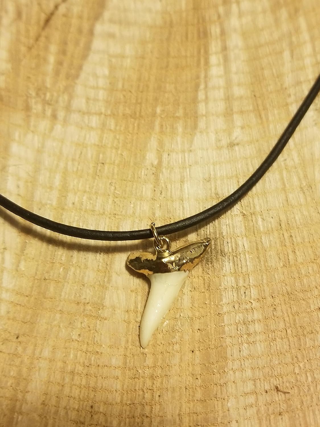 24K Rose Gold Plated Small Shark Tooth Necklace Real Teeth Boho Ocean Outdoors Sea Collection Jewelry (N485)