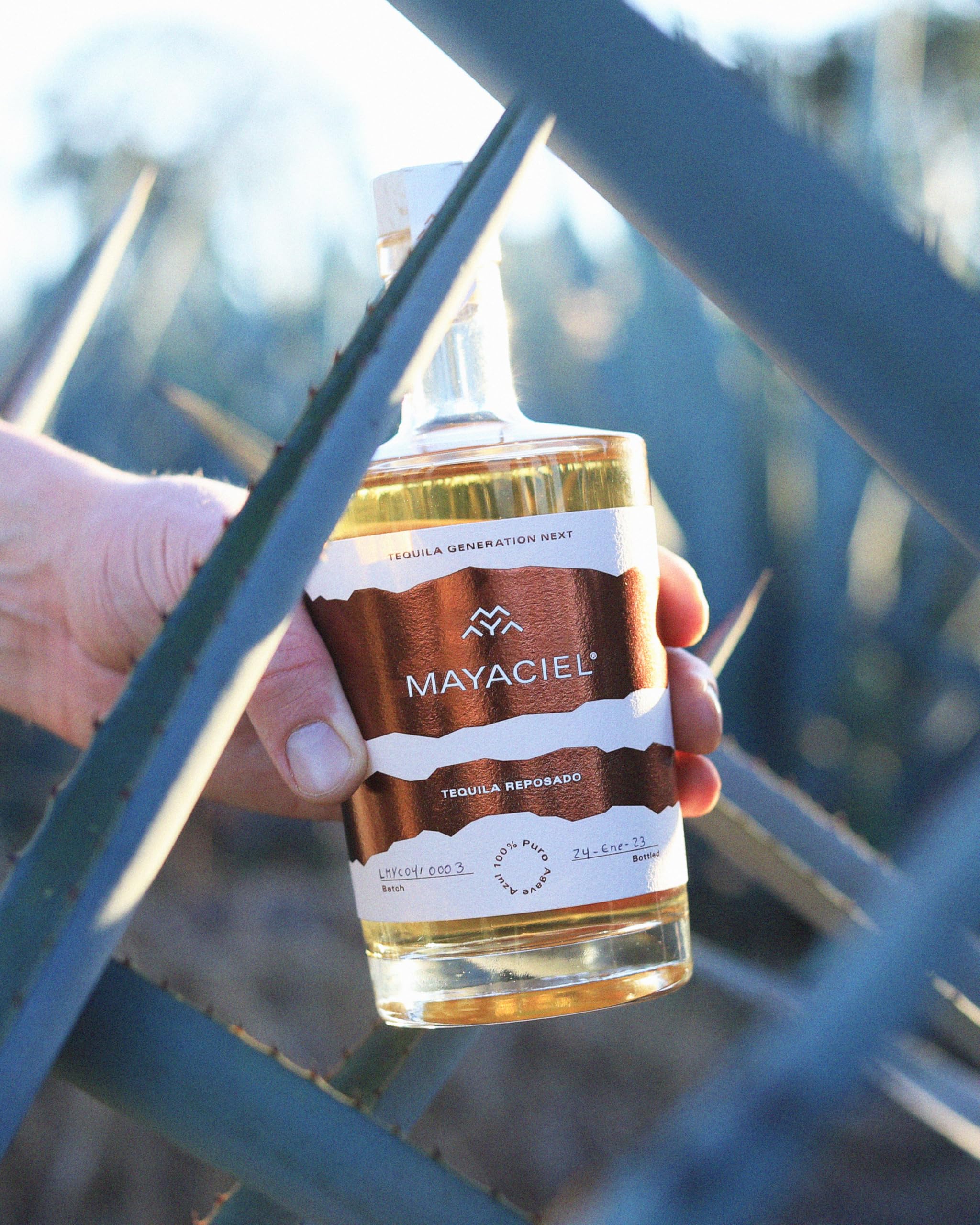MAYACIEL Tequila Reposado – Weltweit einzigartig, zur Perfektion gereift in karibischen Rum-Fässern | IWSC Gold | 100% Agave & Natürlich | Fruchtige Agave, Karamell & Vanille | 0,5 l 3