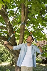 Gardena TeleCut 650-900 B Lopper, Telescopic, ErgoTec Handles view 7