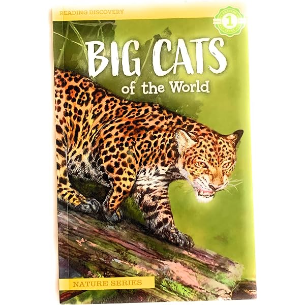 その他 Big Cats Collection [DVD] Amazon.com: Big Cats Collection by NAT'L GEOGRAPHIC VID by