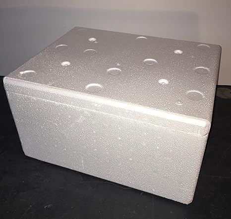 thermowelt poliestireno Caja de EPS – Envío 29 litros: Amazon.es: Productos para mascotas