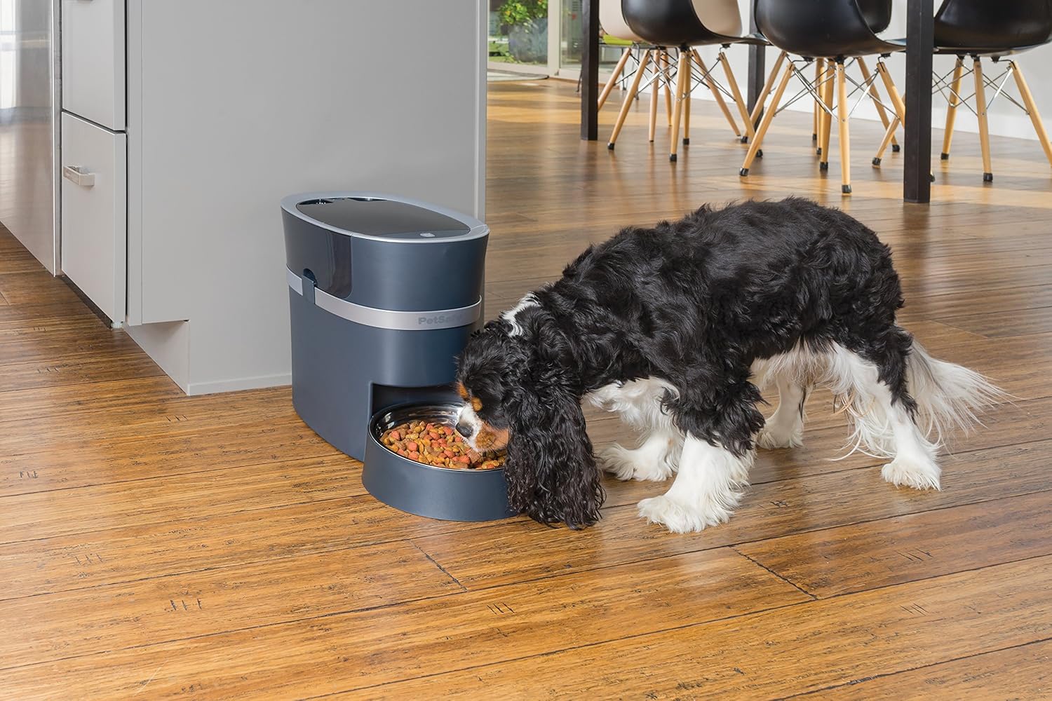 petsafe wifi feeder