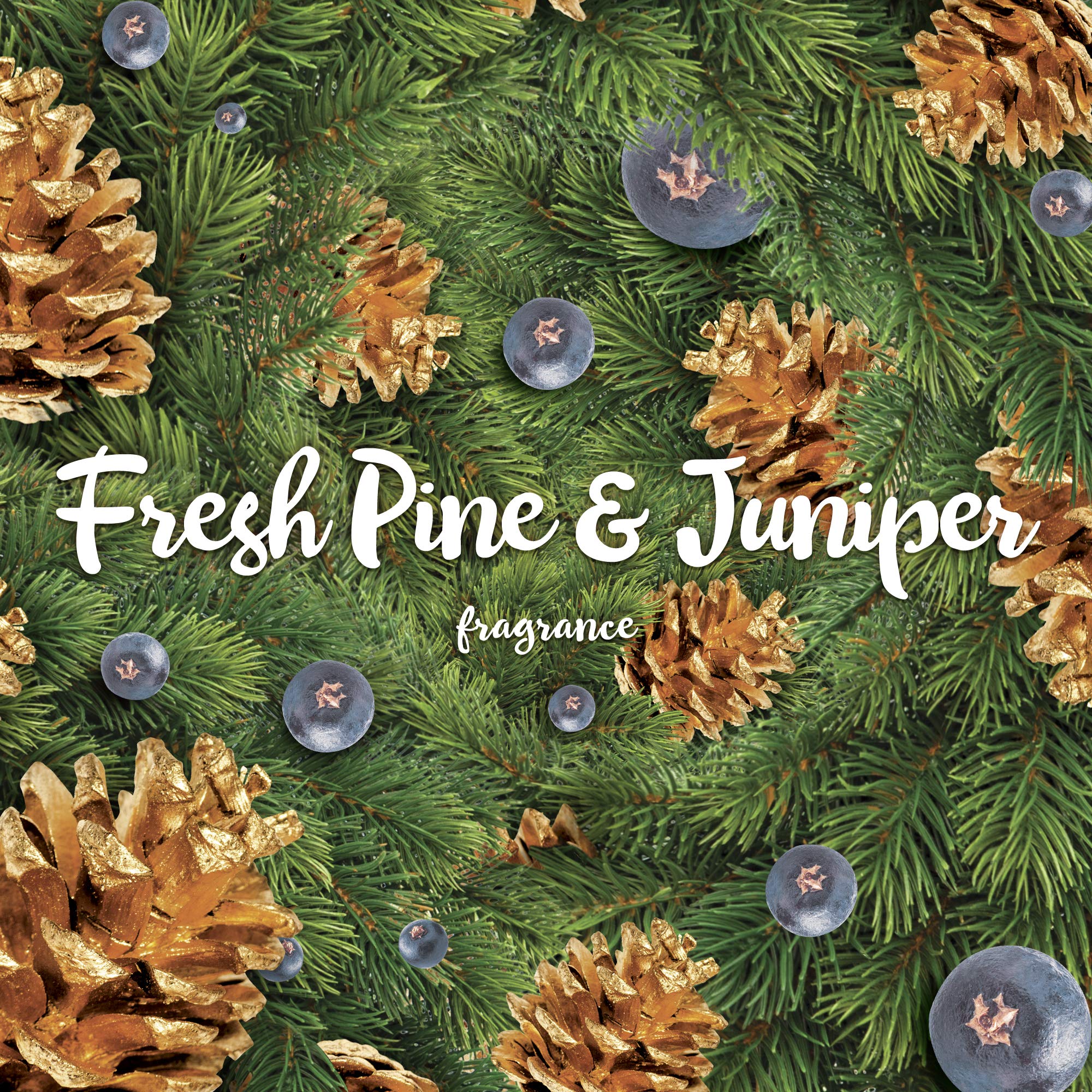 Air Wick Scented Oils 0+2 Fresh Pine & Juniper