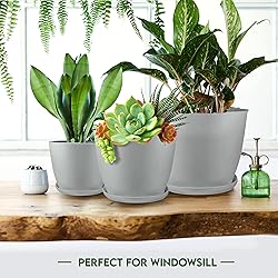 Utopia Home - Plant Pots Indoor with Drainage
