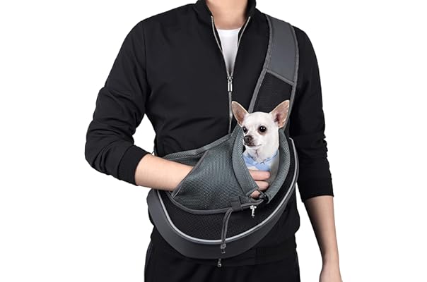 dog papoose petsmart