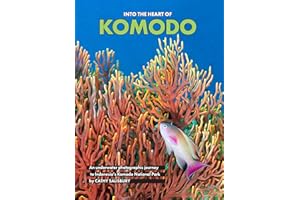 Into the Heart of KOMODO: An underwater photographic journey to Indonesia's Komodo National Park