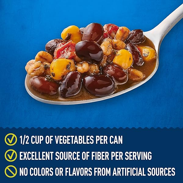 PROGRESSO SOUTHWEST-STYLE BLACK BEAN PROTEIN SOUP, VEGETARIAN, 18.5 OZ.