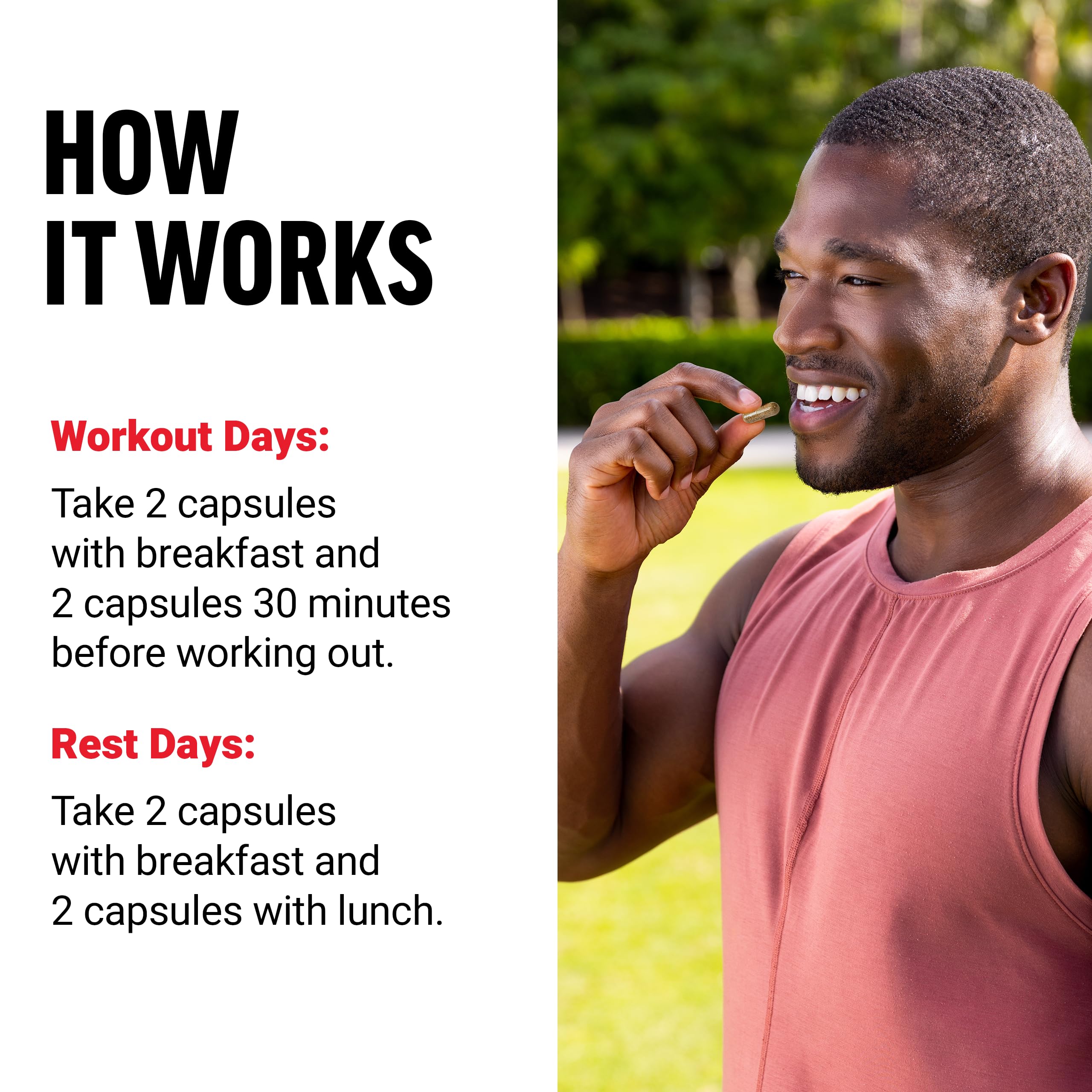 Force Factor Test X180 Ignite Total Testosterone Booster for Men with Fenugreek Seed and Green Tea Extract to Build Lean Muscle, Boost Energy, and Improve Performance, 60 Count