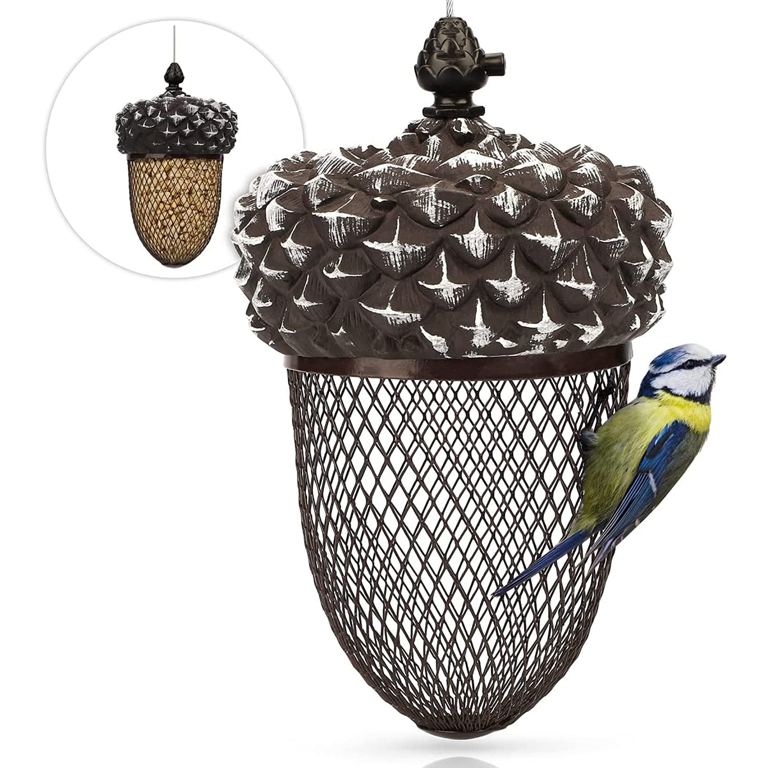 Wildlife Friend I bird feed dispenser for peanuts - feeding point acorn - peanut feeder made of stainless metal, bird feeding station for hanging - feed silo glans shape for wild birds