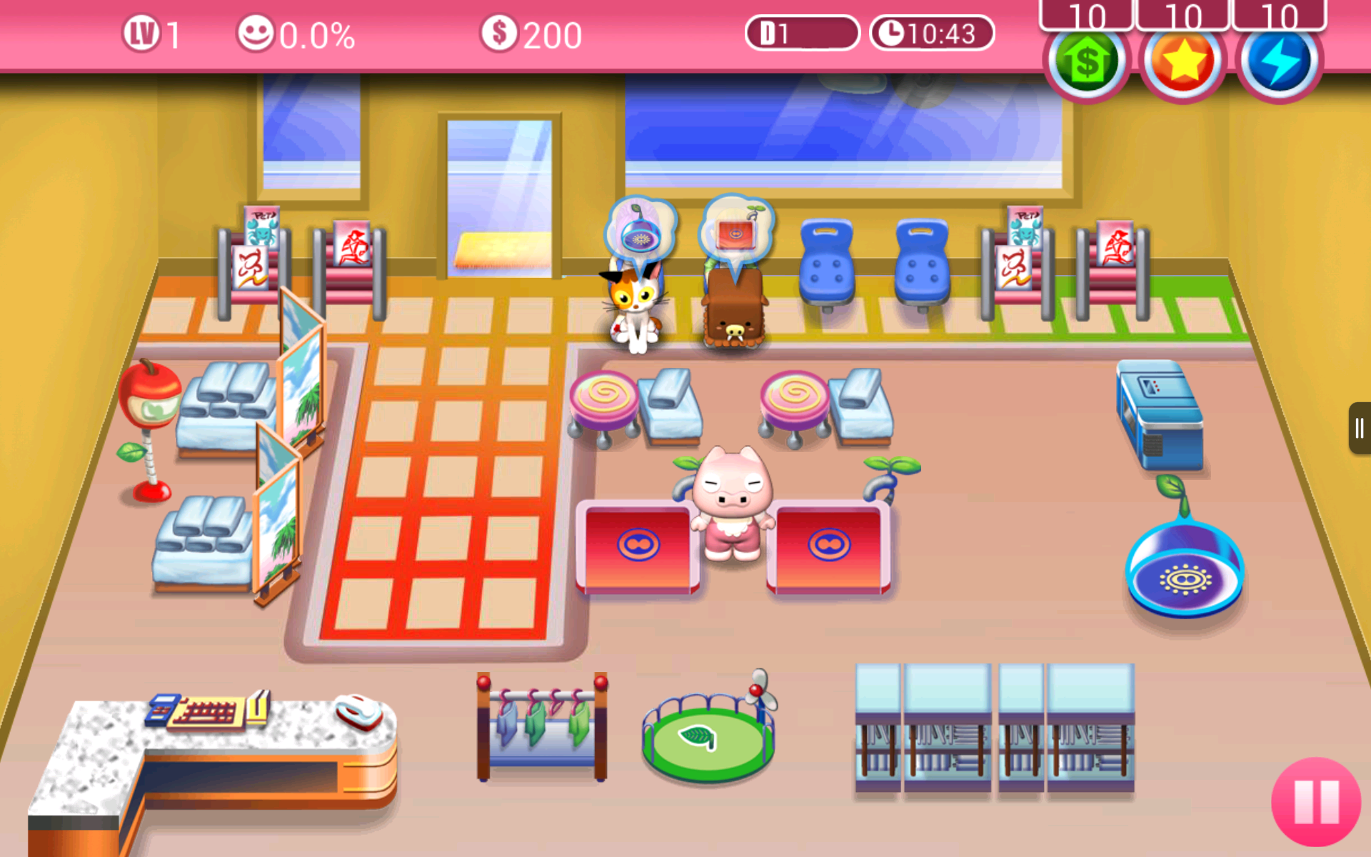 cute pet salon
