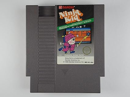 ninja kid video game
