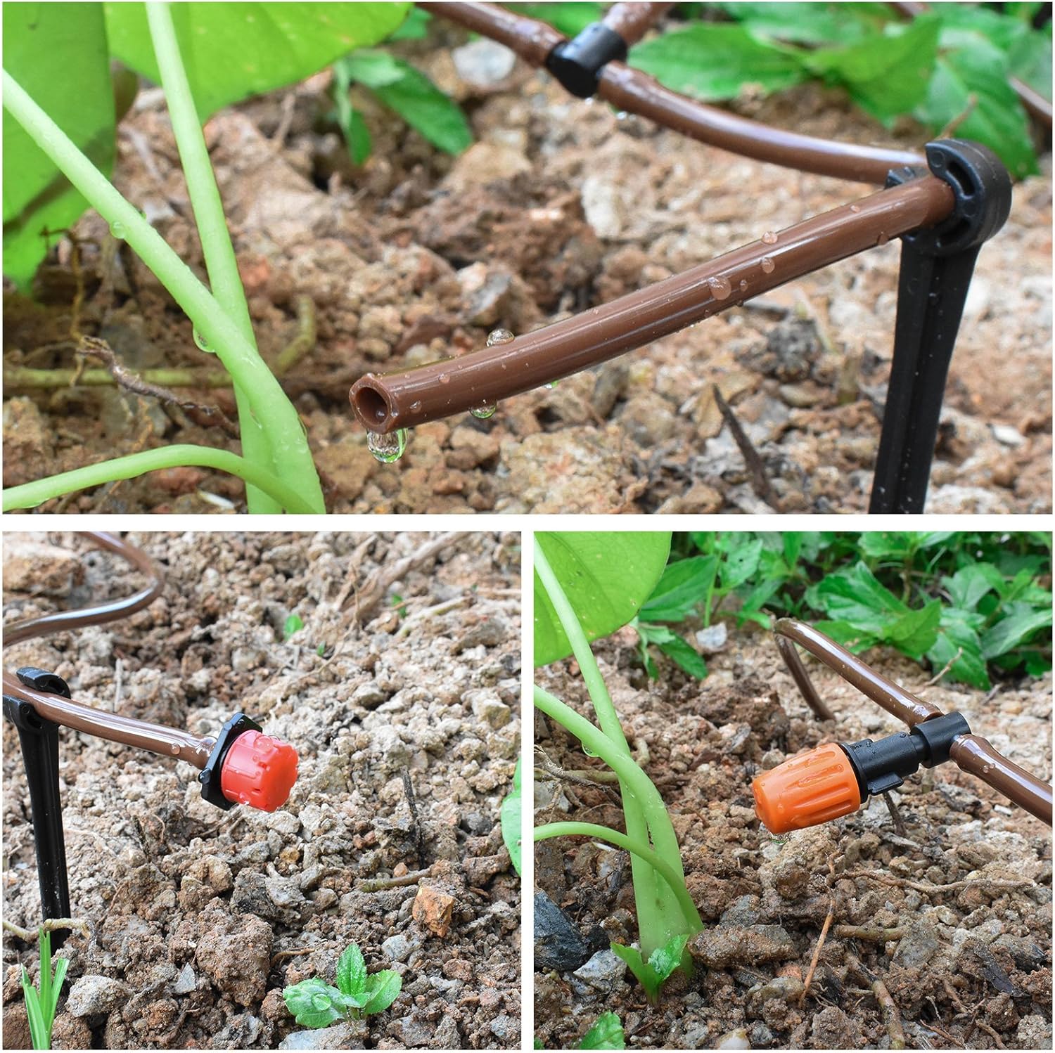 KORAM Drip Irrigation 1/4" Blank Distribution Tubing Drip Watering Hose 100ft Roll with Plant Garden Labels: Home Improvement
