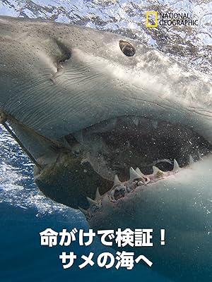 Amazon Co Jp 命がけで検証 サメの海へを観る Prime Video