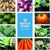 Scott&Co Vegetable Seed Grow Your Own Kit 10 Varieties Garden Gift view 5