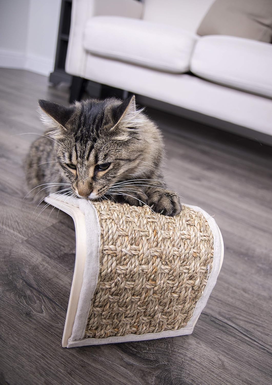 Petlinks Floor Cat Scratchers, Petlinks Scratch Ramp : Scratching Posts : Pet Supplies