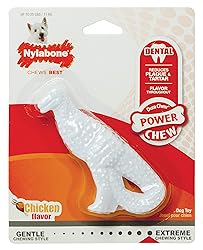 Nylabone Dental Dinosaur Power Chew Toy for