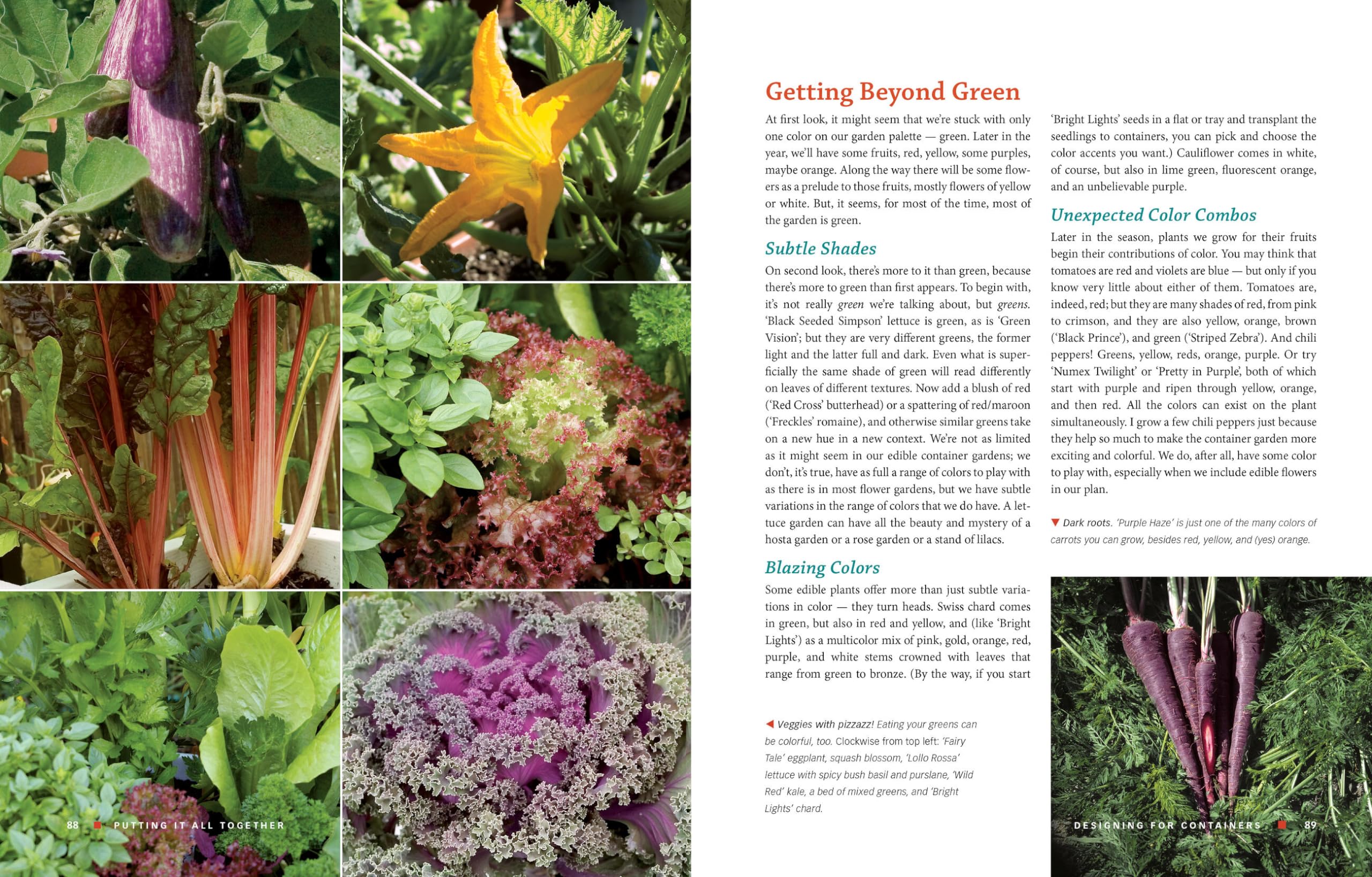 The Vegetable Gardener's Container Bible: How to Grow a Bounty of Food in Pots, Tubs, and Other Containers