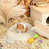 Niteangel Desert Bath Sand for Small Pets 2.5lb No-Dust Zeolite Litter view 4