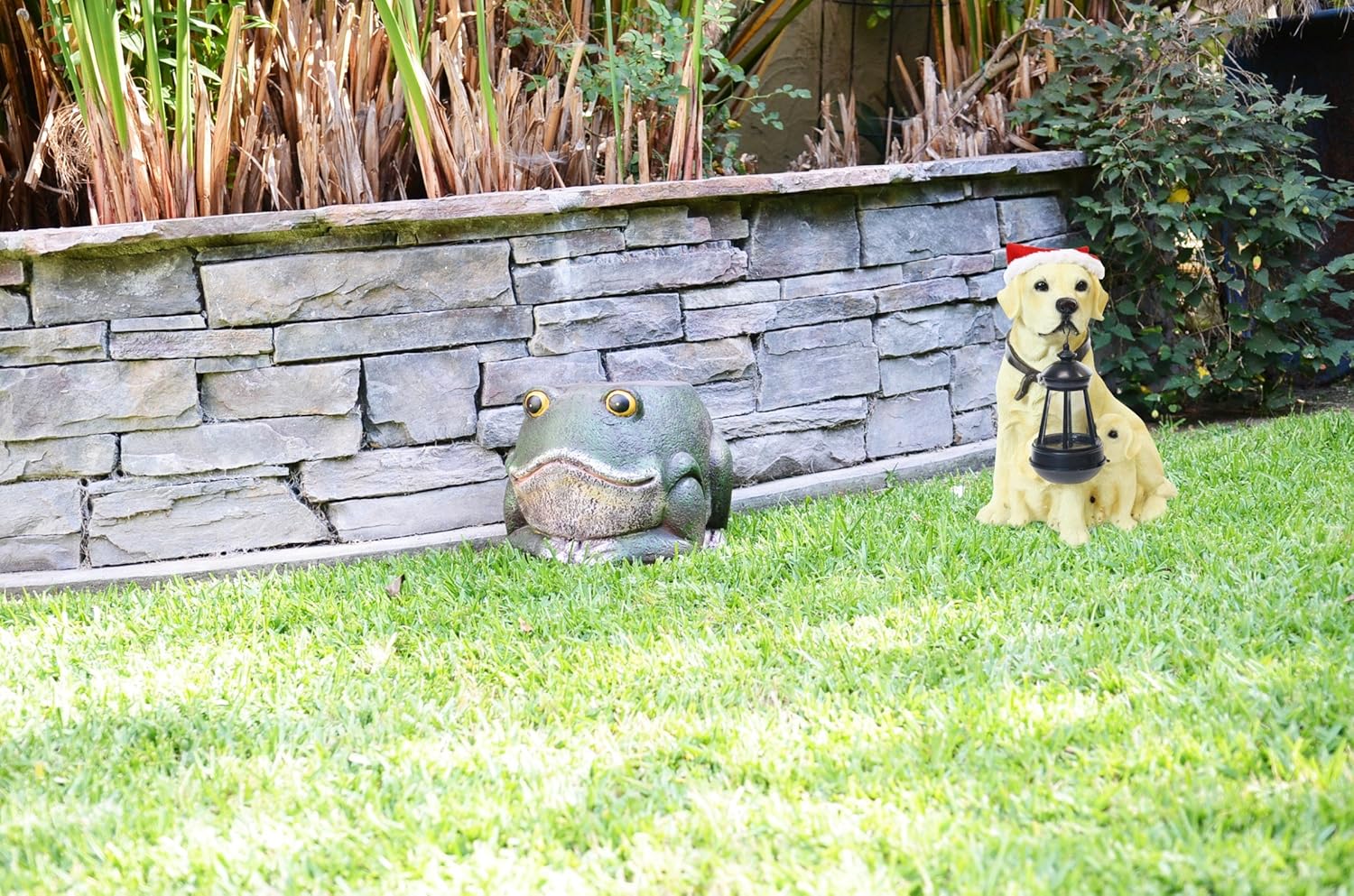 Amazon.com: Alpine Corporation Solar perro y cachorro de ...